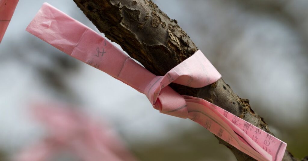 おみくじを「結ぶ」