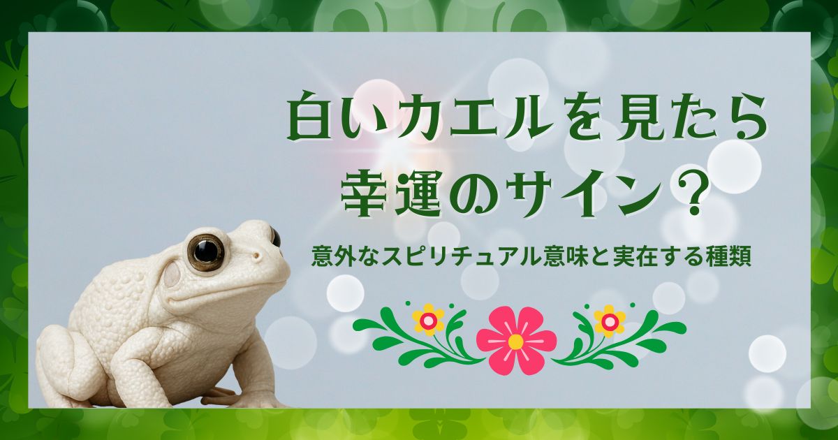 白いカエルを見たら幸運のサイン？意外なスピリチュアル意味と実在する種類